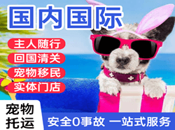六盘水月照机场托运国际宠物托运 【国